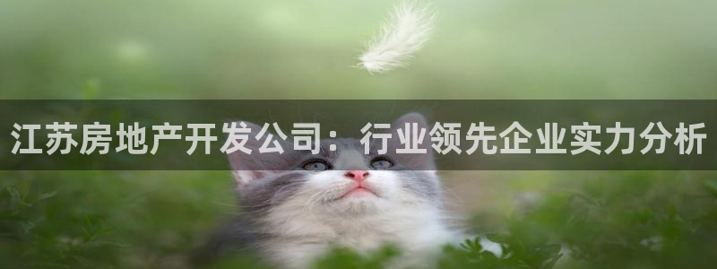 万向娱乐平台代理怎么做