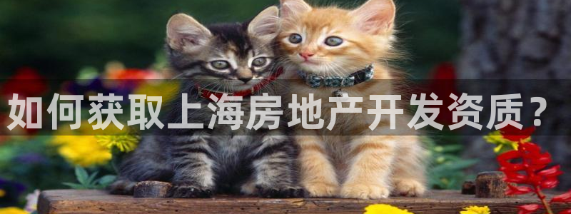 万向娱乐官网