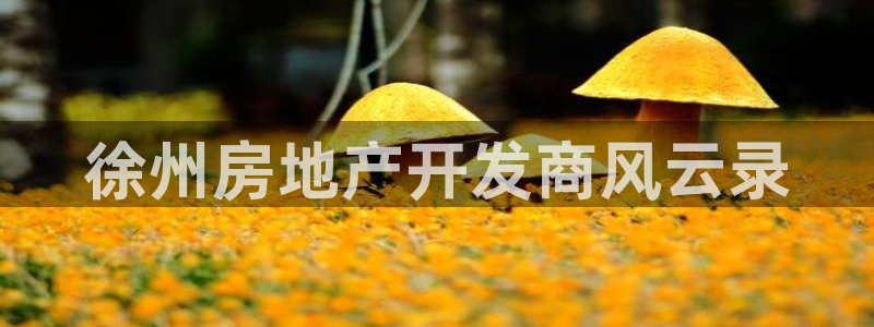 万向娱乐平台代理怎么做赚钱