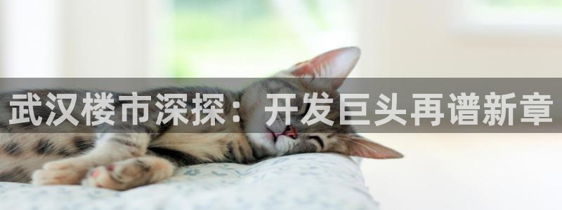 万向娱乐