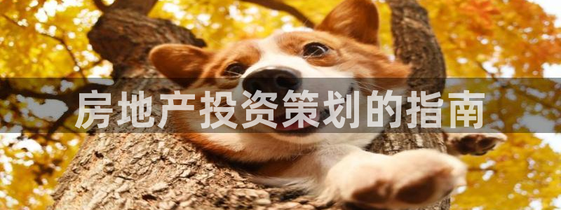 万向娱乐平台注册流程图