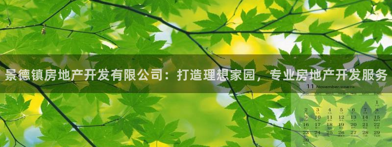 万向娱乐平台代理多少钱