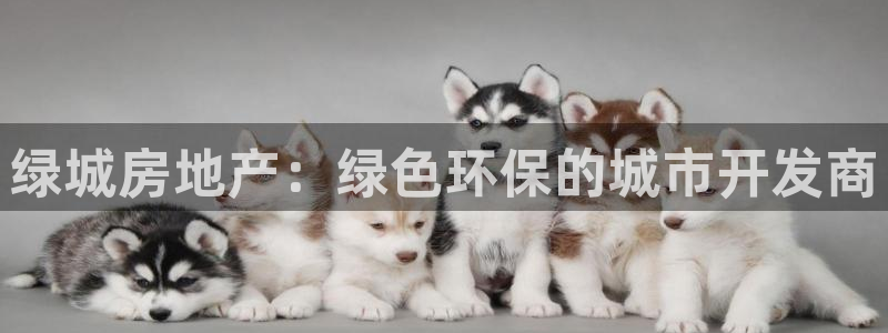 万向娱乐老板