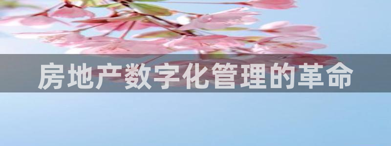 万向娱乐挂机软件
