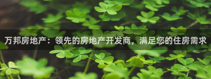 万向娱乐的联系方式有哪些