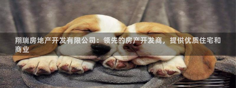 万向娱乐老板