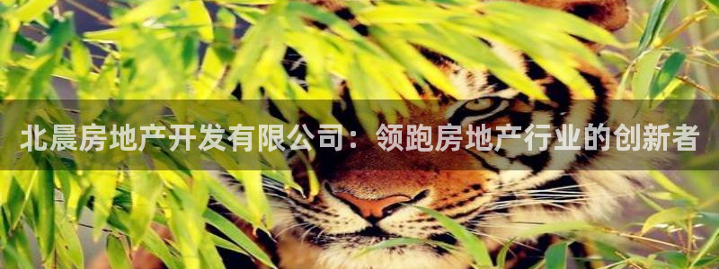 万向娱乐平台注册条件要求