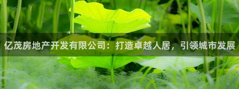 万向娱乐注册主管是谁