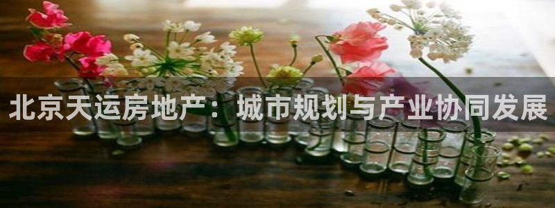 万向娱乐官网网址大全