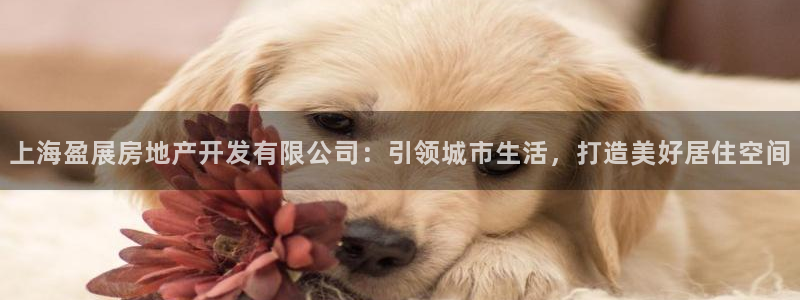 万象国际娱乐网址