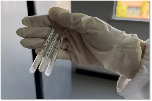 pgÂ齫ºúÁË(¹Ù·½°æ)ÆÆ½â/ÊÔÍæ/±¬·Ö¹Ù·½ÍøÕ¾